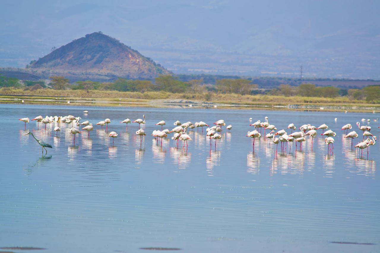 Sirville Lake Elementaita Lodge Gilgil 외부 사진